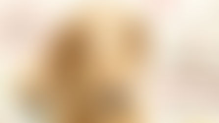 【ホームページ開設】