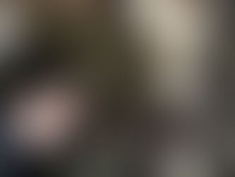 迷子犬ゆきちゃん無事保護