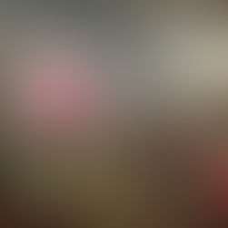 Polinizações Cruzadas, um evento dos grupos de pesquisa em CTS da Unicamp