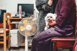 德駿&君如 (8).jpg