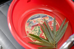 家豪&惠方 (6).jpg