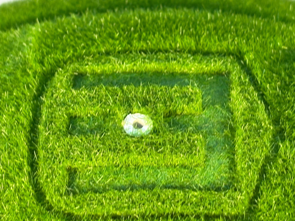 Miniatura: logo green court pallone da basket da collazione Envy basketball