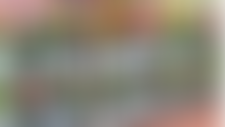 お祝い花にまつわる困り事がなくならない理由と、その解決策