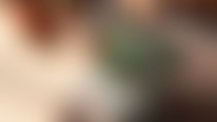 小さな茎の再利用から、大きな環境保全へ。～植物の茎から生まれるポット「STEMN」～