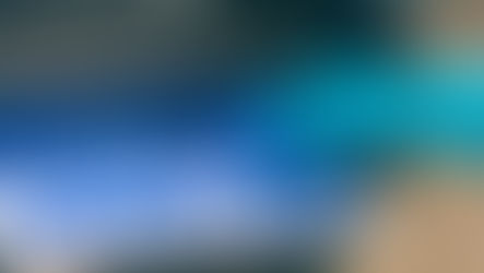 生花同様の美しさを保ちながら、環境へも配慮した製造工程の「フリーズドライフラワー」