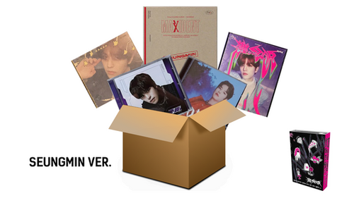 Stray Kids Bundle Set (Member Version) | K-pop Unite