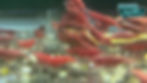 Example of Painted Fire Red Shrimp For Sale