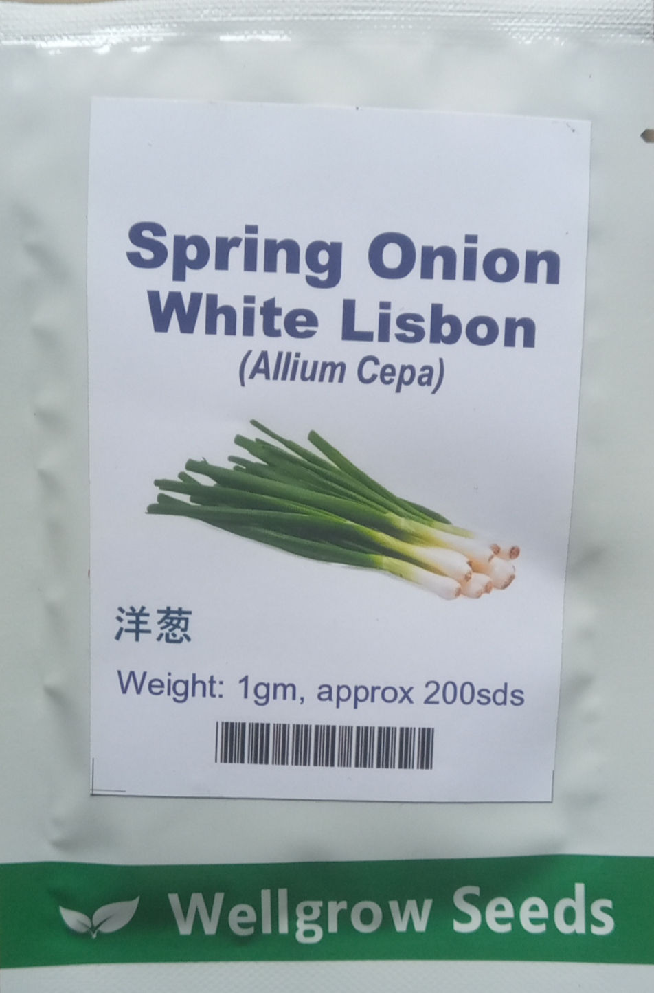 SPRING ONION WHITE LISBON