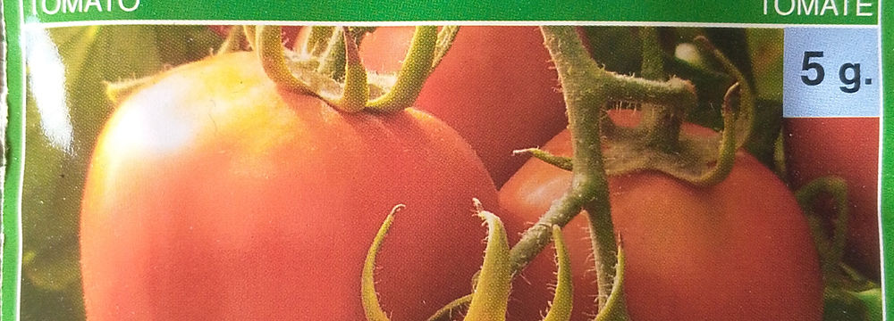 Technisem F1 Cobra 26 tomato seed packet for crop consultation
