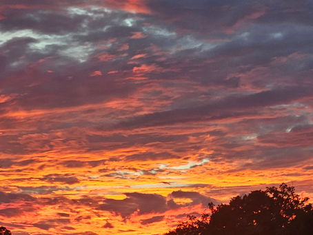 Dusk: A Soft Place to Land After a Hard Day