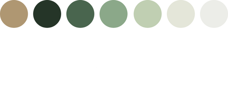 Group 91.png