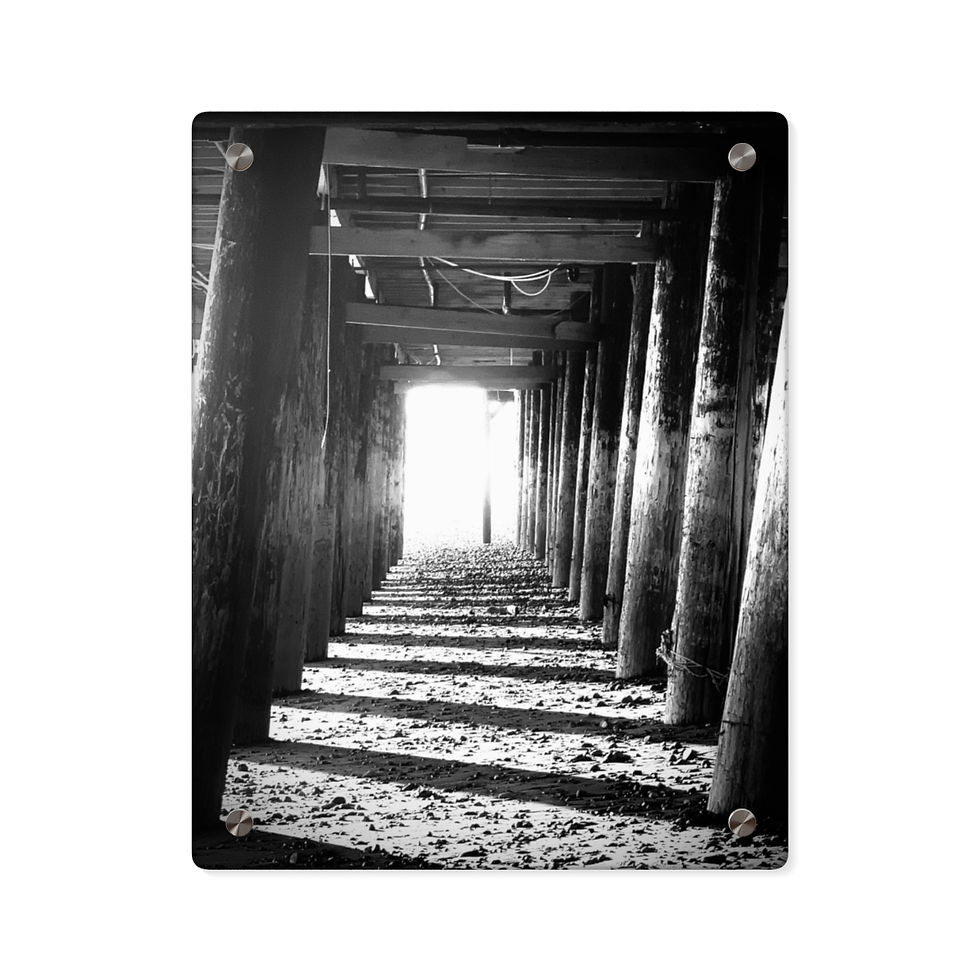 Thumbnail: Under the Boardwalk Acrylic Wall Art Panels