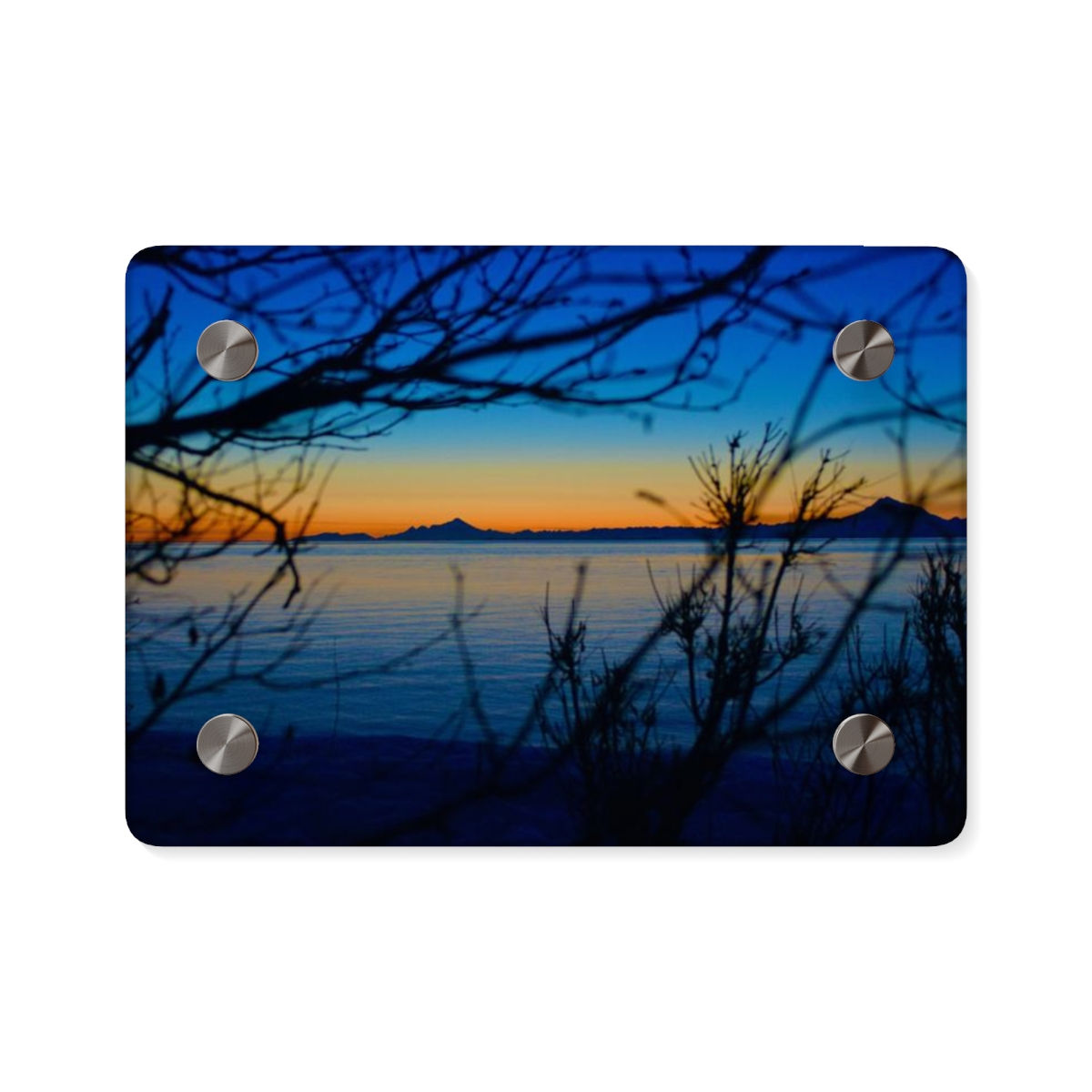 Acrylic Wall Art Panels