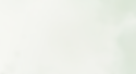 Green Texture.png