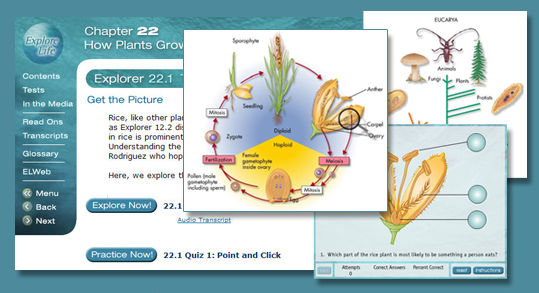 Explore Life Sample -Ian M List Medical & Science Writer | Instructional Design