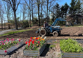 pick your own seasonal blooms - Frederick Flower Farm - Wedding Florist and U-Pick Flower Farm in Frederick, MD