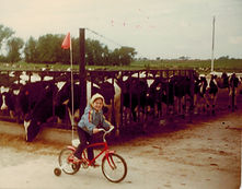 Staci tricycle w cows.jpeg