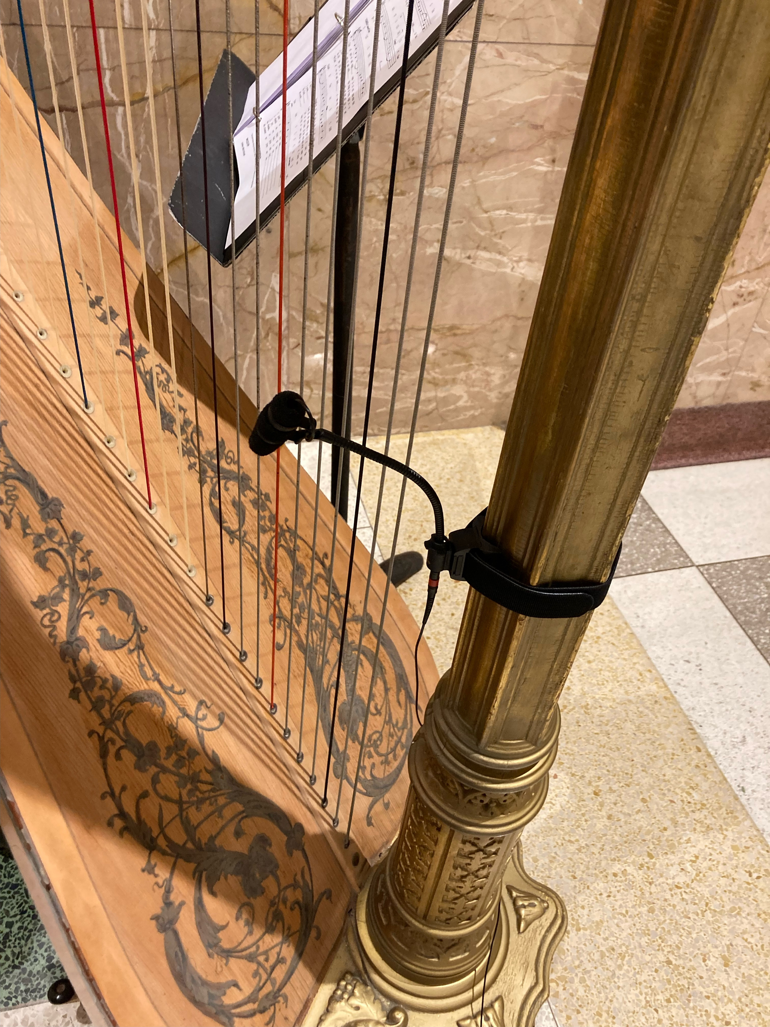 Charles Riche String Instrument Builder Instrument Microphones | DPA Microphones | Rich Grillone