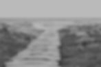 Rustic Beach Path_edited.jpg