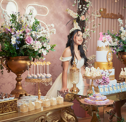 DJ / MC / Lighting / Photo Booth Rentals for Birthdays, Anniversaries and Private Parties - The Entertainment Nation