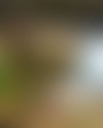 For the first time EVER!!!