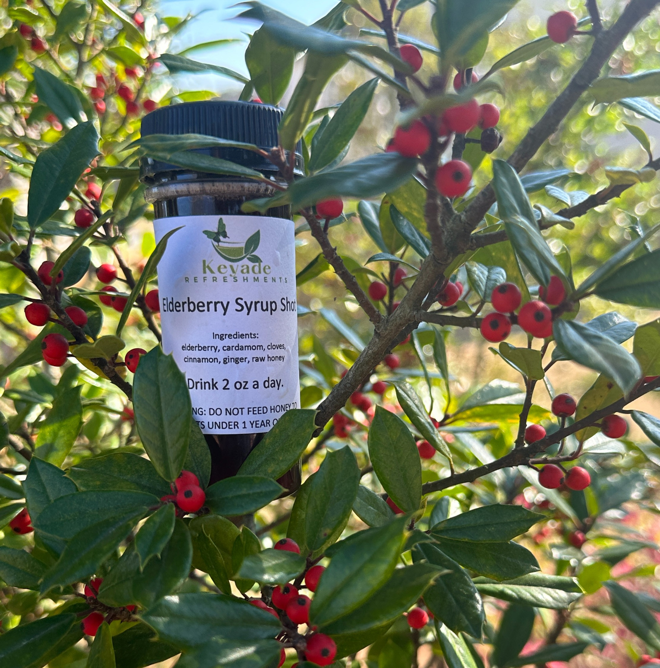 Elderberry Syrup