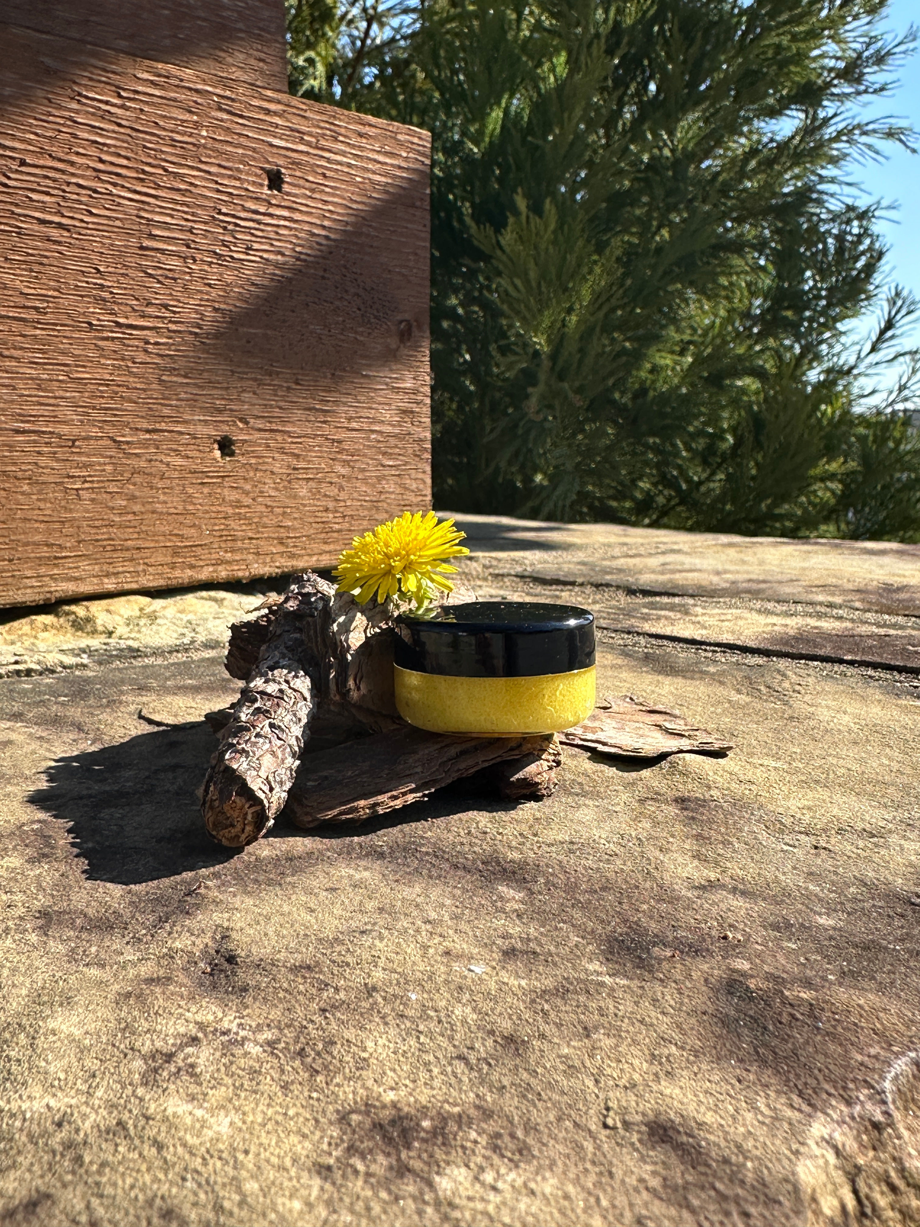 Honey Bee Lip Scrub