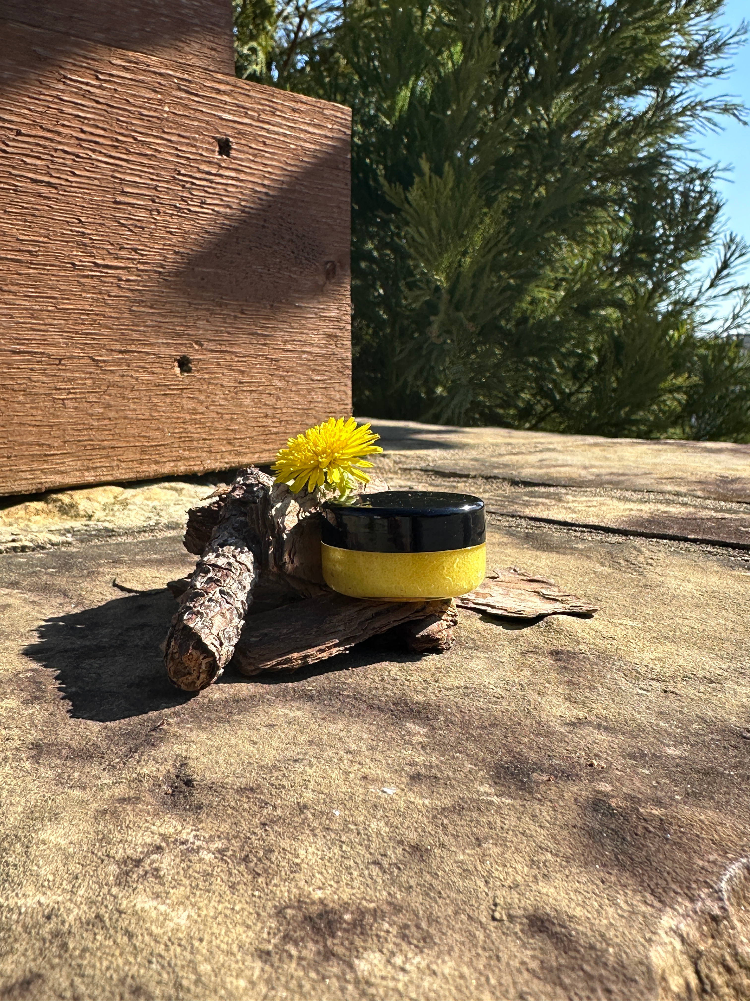 Honey Bee Lip Scrub