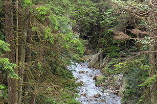 Lynn Creek flows through the Seymour Conservation Area toward Vancouver Harbor.