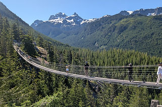 95-meter suspension bridge providing access to Spirit Trail and viewpoints.