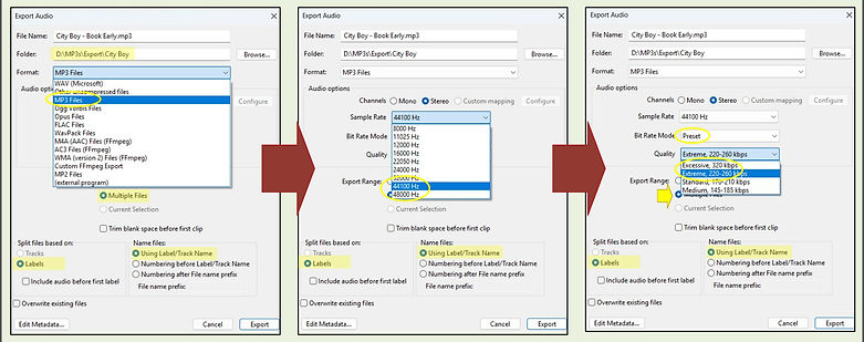 Audacity's Export Audio Dialog Box showing the desired settings.