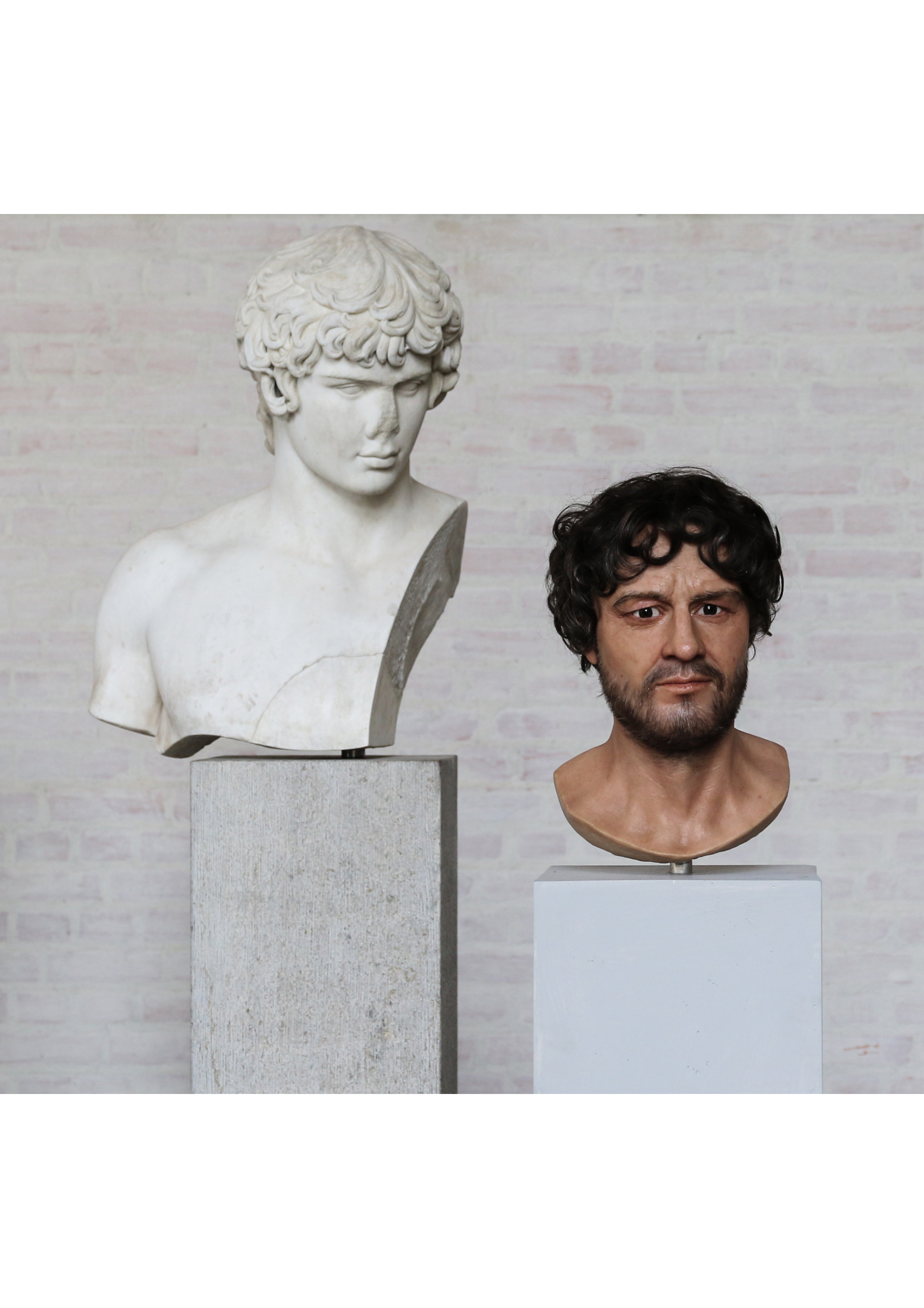 art porn & disfigured senselessness
