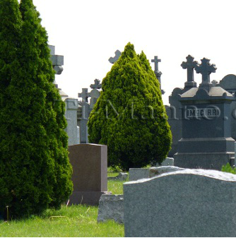 tombe.PNG