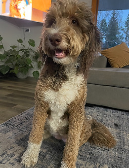 Screenshot 2025-12-09 at 3.07.14 PM.jpeg