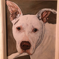IMG-4519_edited.jpg