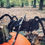 Thumbnail: metal spider ornament for the garden