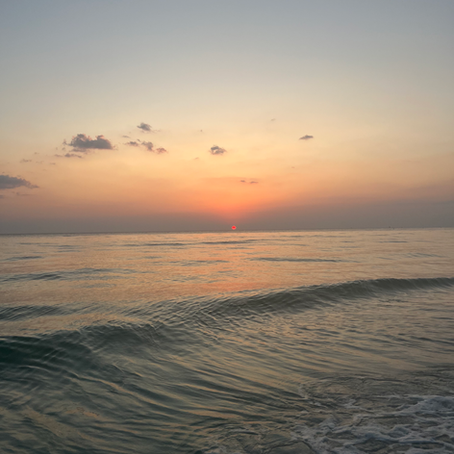 Florida Shoreline