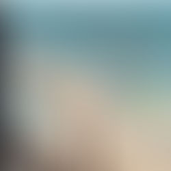 경계에서 평화를 바라보다.