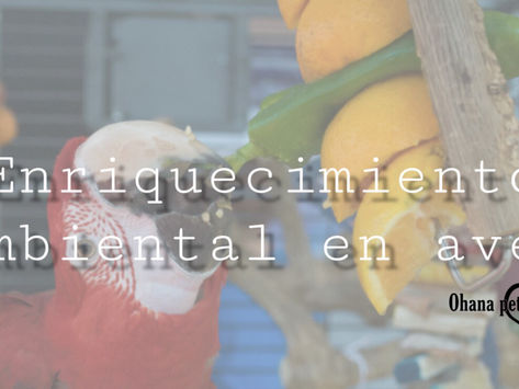 Enriquecimiento ambiental en aves