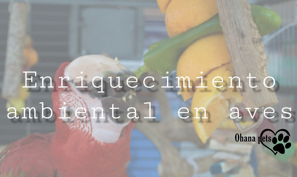 Enriquecimiento ambiental en aves