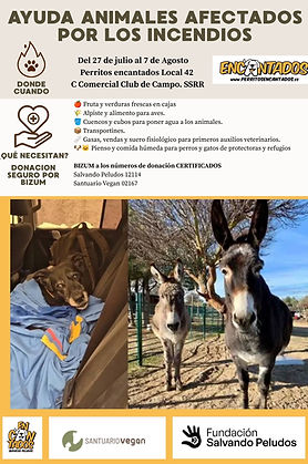 Donación Urgente Rescate Animalen Incendios (1).jpg