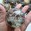 Miniature : Garden Quartz Crystal Sphere-Crystal Ball-Lodolite Inclusions
