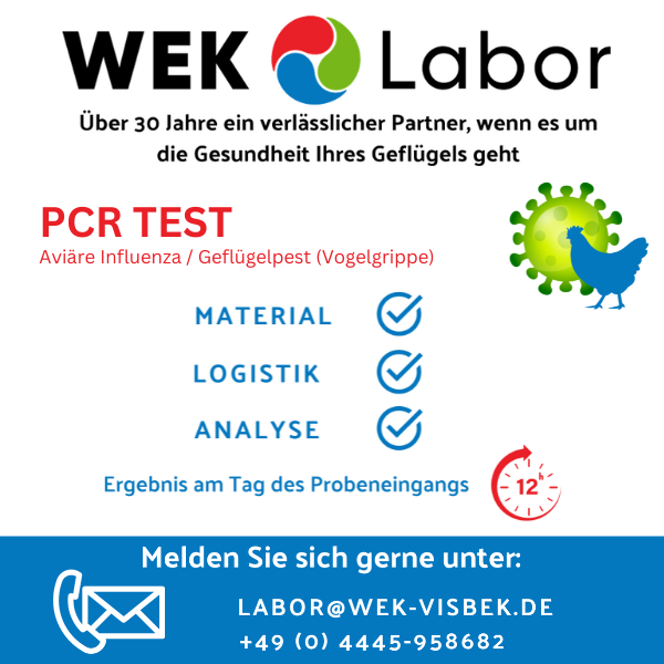 WEK-Labor