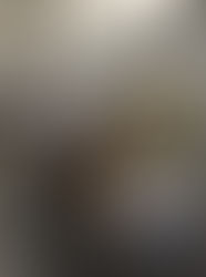 Preisrichterverpflichtungen im Versand