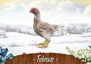 Einladung zur Mitgliederversammlung - Monat Februar