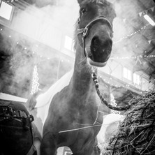 Smoke