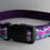 Thumbnail: Medium and Large Collars