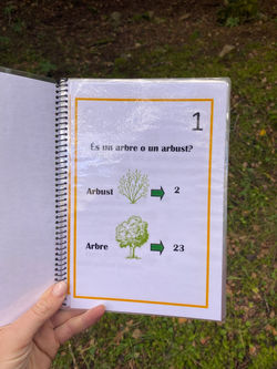 Imagen de WhatsApp 2024-10-16 a las 17.22.25_d1e9a287