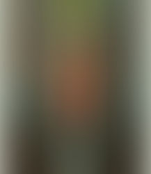 Canais energéticos: a relação entre nadis e meridianos