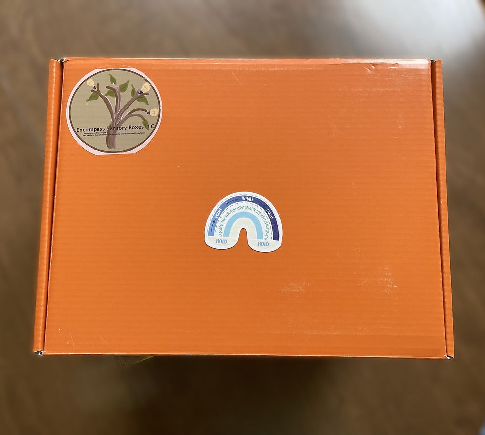 Thumbnail: Encompass Sensory Box